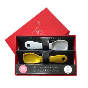 燕製 熱伝導アイススプーン 2本セット ハーゲンダッツ アイスクリーム