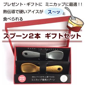 燕製 熱伝導アイススプーン 2本セット ハーゲ...の詳細画像1