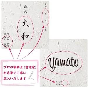 デザイン 命名書 手書き毛筆代書付き おしゃれ...の詳細画像4