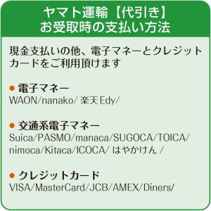 ハーゲンダッツギフト券 2枚 のし袋付き ハー...の詳細画像5