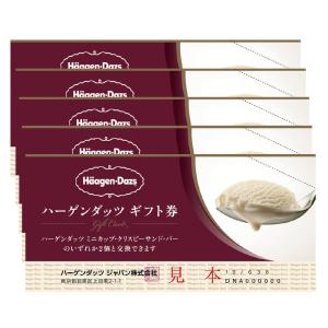 ハーゲンダッツギフト券 5枚 PP袋 リボンシ...の詳細画像3