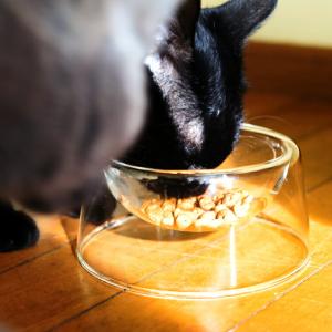 ペットボウル フードボウル ペット用食器 PU...の詳細画像4