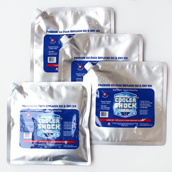 保冷剤 長時間 長持ち コンパクト クーラーボックス アウトドア 防災 クーラーショック 4個セット...