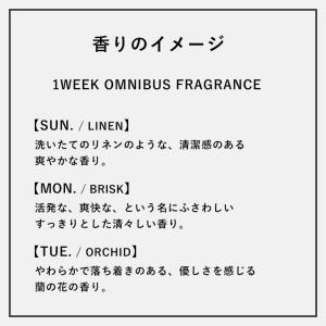 ルームフレグランス ディフューザー スティック...の詳細画像5