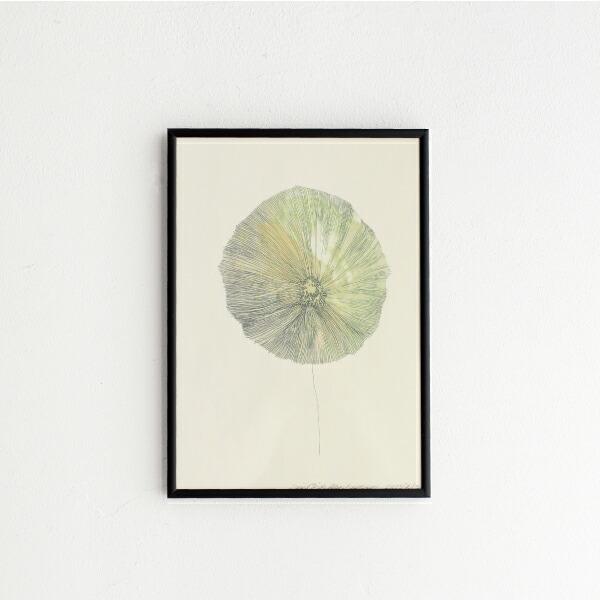 Leise Dich Abrahamsen ライゼ ディッチ アブラハムセン POSTER A4(L...