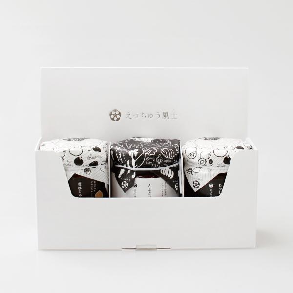 えっちゅう風土 エッチュウフウド ギフト用ボックス 3個用 えっちゅう風土じゃむ専用 箱 ボックスの...