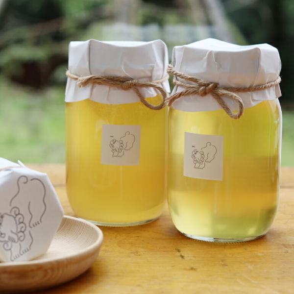 蜂蜜 はちみつ 国産 天然 クロガネモチ 600g 第七十三候 シシ七十二候 シシシチジュウニコウ