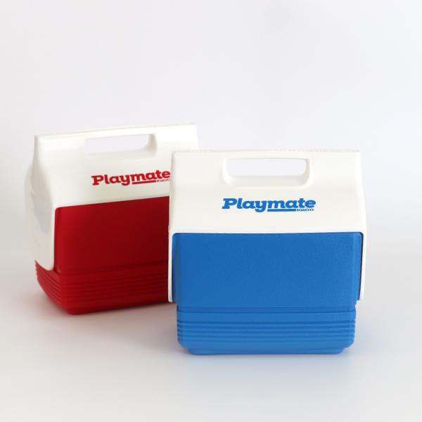 クーラーボックス 小型 ミニ ワンハンドル プラスチック ピクニック アウトドア レジャー おしゃれ...