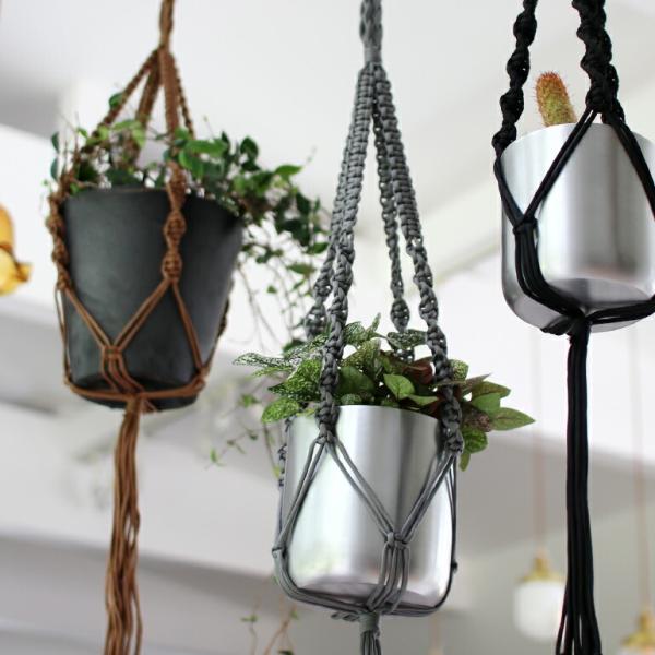 HINODE ヒノデ MACRAME SINGLE プラントハンガー M マクラメ編プラントハンギン...