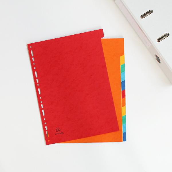 リングファイルA4 2穴 4穴 12分割 書類整理  エグザコンタ EXACOMPTA カラーインデ...