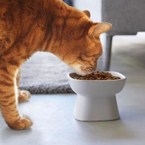 ペットフードボウル 正規品 tower タワー 食べやすい高さ陶器ペットフードボウル 猫用 犬用 ネコ イヌ ペットフード容器 ペットフード入れ 山崎実業 ホワイト｜cdf