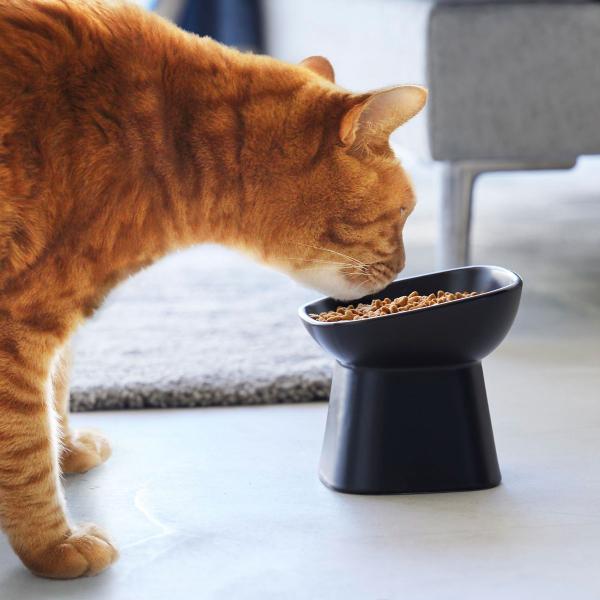 ペットフードボウル nooks ヌークス 食べやすい高さ陶器ペットフードボウル 斜めトール 犬猫用 ...