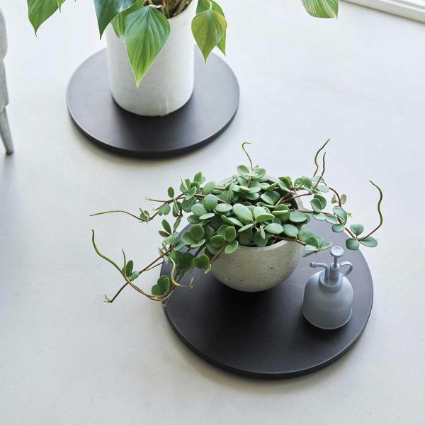 室内台車 tower タワー 薄型台車 ラウンド L 観葉植物スタンド 室内用 植木鉢台 リビング収...