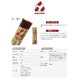 エネルギー補給 ようかん anpower アン...の詳細画像2