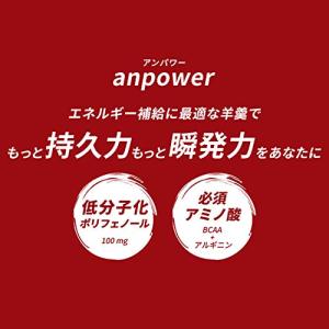 エネルギー補給 ようかん anpower アン...の詳細画像3