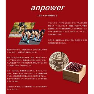 エネルギー補給 ようかん anpower アン...の詳細画像5