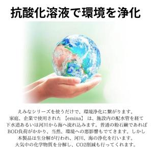 えみな 99 エコ洗剤 環境にやさしい 万能粉...の詳細画像1