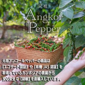 アンコールペッパー(ブラックペッパー) 200...の詳細画像2