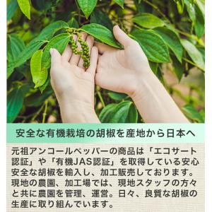アンコールペッパー(ブラックペッパー) 200...の詳細画像3