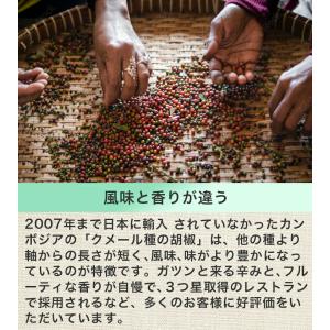 アンコールペッパー(ブラックペッパー) 200...の詳細画像4