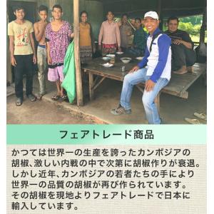 アンコールペッパー(ブラックペッパー) 200...の詳細画像5