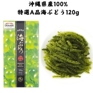 沖ピ 特選 A品 海ぶどう 120g 常温 保存可能 100％ 沖縄産 タレ 付き ギフト 天然 国産 ギフト 生 クビレズタ 沖縄料理 沖縄食材 刺し身 美味しい 海藻 お土産