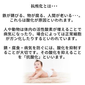 えみな water EXTRA 500ml 万...の詳細画像5