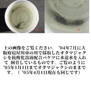 えみな water EXTRA 500ml 万...の詳細画像3