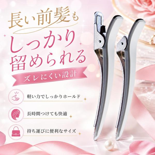 貝印 KAI NERO BIANCO ヘアクリップ 2個 KQ3510