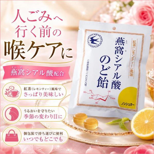 トキワ漢方製薬 燕窩シアル酸のど飴 紅茶レモンティー風味 ノンシュガー 87g 約22粒