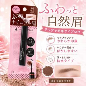 ピエヌ 資生堂 ピエヌ デュアルブロークリエーター（アイブロウ