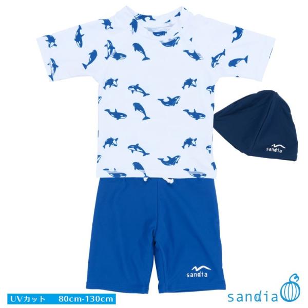 Sandia サンディア 子供水着 ラッシュガードセット 男の子 シャチ無地 キャップ付き【ベビー水...