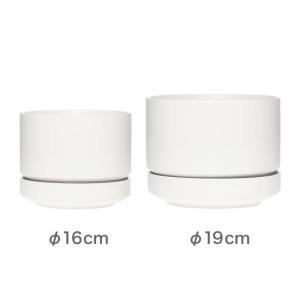アラビア エスエヌ プラントポット 19cm ...の詳細画像2
