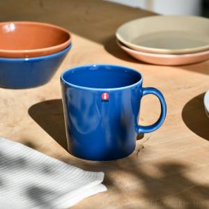 iittala（イッタラ） A4 プレート オイバ トイッカ ヘレ ブルー
