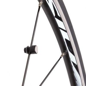 Campagnolo（カンパニョーロ） FH-XDRA33 XDR フリーボディ 33mm pawls