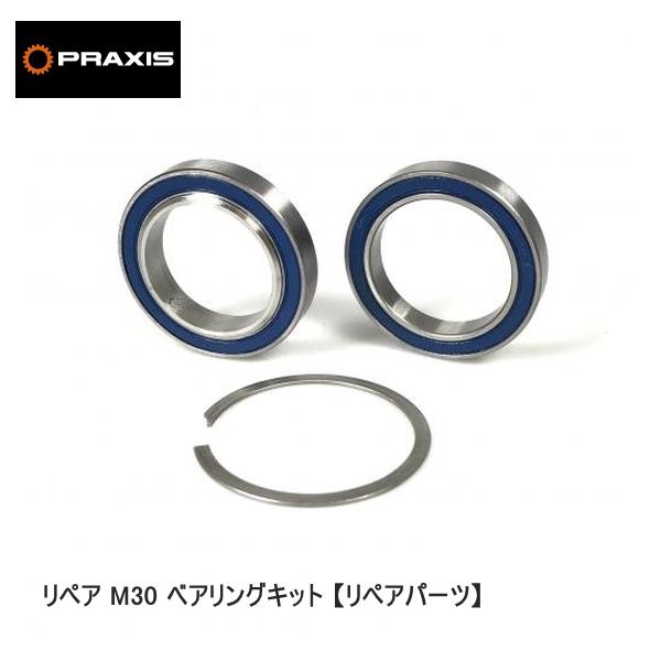 praxisworks プラクシスワークス PRAXIS リペア M30 ベアリングキット 【リペア...