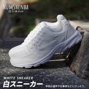 cedalet_numshenba110