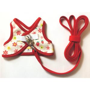 もちつき　くにたちハーネス・リード（いちごフラワー）
