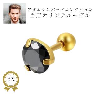 Shaesby（シェイスビー） isolaラージサイズピアス シルバー製 専用BOX