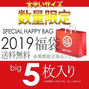 福袋　2019福袋　レディース　5枚入り　秋冬　新春　正月　30代　40代　大きいサイズ福袋/大きいサイズ レディース 40代 50代 チュニック