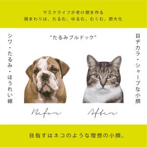 小顔矯正バンド 送料無料 スマイルリフティン ...の詳細画像2