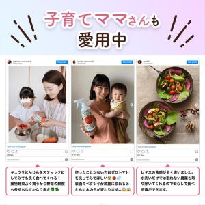 野菜を洗うお水!『ベジセーフ』1200ml パ...の詳細画像3