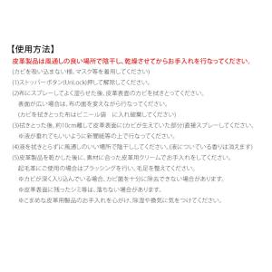 COLUMBUS コロンブス カビ用ミスト レ...の詳細画像2