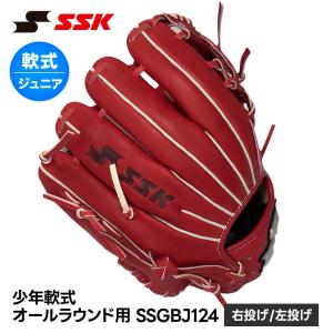 エスエスケイ（SSK） 野球 グローブ ソフトボール 大人 オールラウンド