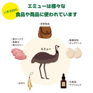 グルコサミン MSM配合 エミューオイルクリー...の詳細画像4
