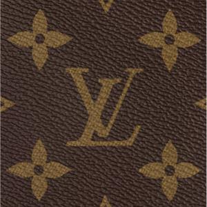 ルイヴィトン LOUIS VUITTON キャ...の詳細画像4