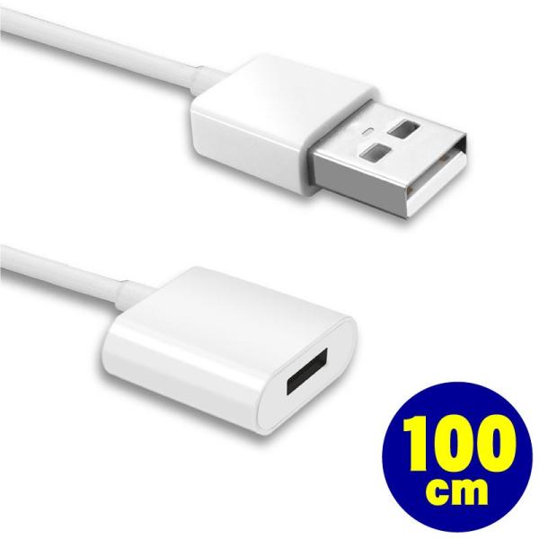 Apple Pencil 充電用 USB ケーブル  100cm APENCABLE-1m ネコポス...