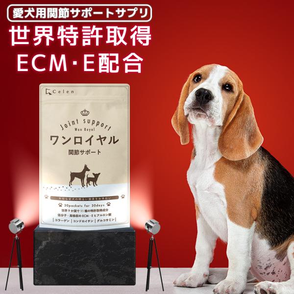 【特許成分 ECME 配合】Wan Royal ワンロイヤル 関節 サポート 犬 犬用 老犬 サプリ...