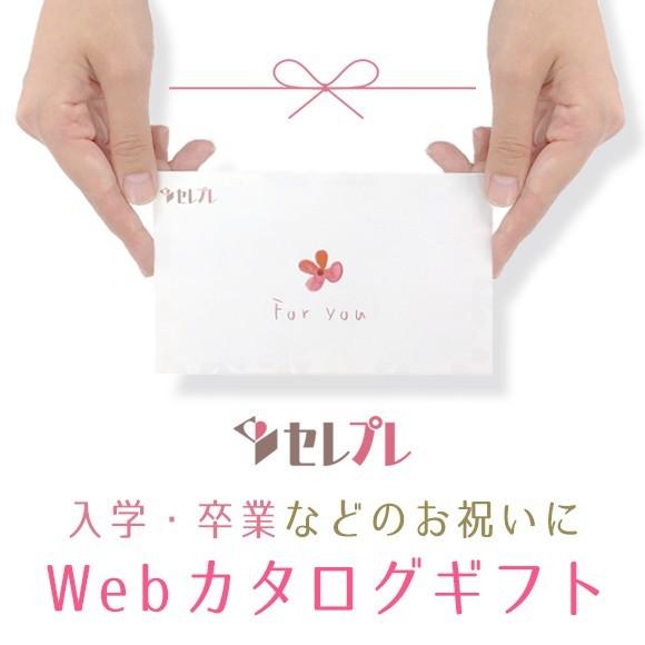 入学・卒業祝い【セレプレ】 30,000円プラン★お急ぎの方はLINEでお贈りいただけます！！★全国...