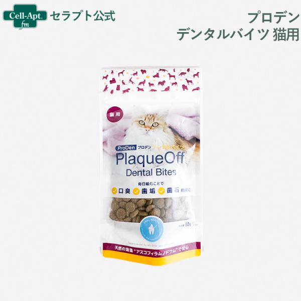 プロデン デンタルバイツ 猫用 60g ［ネコポス発送］6個まで(13612)
